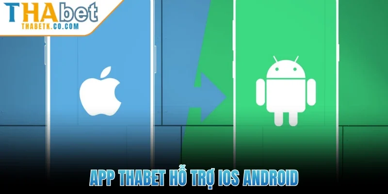 Thabet 313 App Thabet hỗ trợ iOS Android